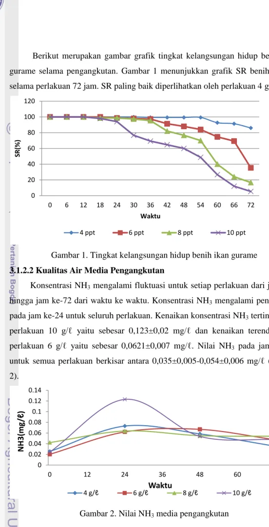 Gambar 1. Tingkat kelangsungan hidup benih ikan gurame  3.1.2.2 Kualitas Air Media Pengangkutan 