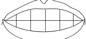 Gambar 2.23 Bentuk mulut bibir terbuka 