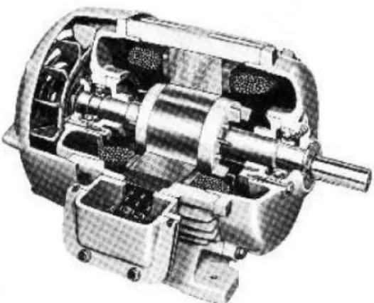 Gambar 2.8 Konstruksi Motor Induksi Rotor Sangkar 