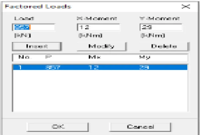Gambar 2.6 Input pembebanan 