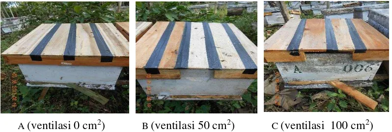 Gambar 1 Modifikasi tutup stup bahan kayu A (ventilasi 0 cm2), B  (ventilasi 50                     cm2), dan C (ventilasi  100 cm2) 