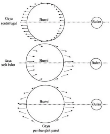 Gambar 2. Mekanisme Pembentukan Pasang Surut (Furqon, 2006). 
