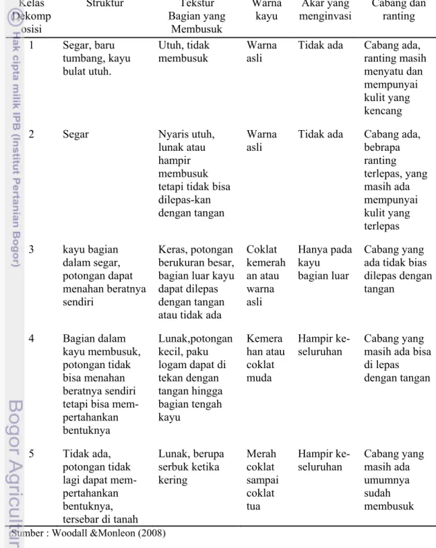 Tabel 3  Kelas dekomposisi kayu mati tumbang dan ciri-ciri pengenalnya   Kelas  Dekomp osisi  Struktur Tekstur Bagian yang Membusuk  Warna kayu  Akar yang  menginvasi  Cabang dan ranting  1 Segar,  baru  tumbang, kayu  bulat utuh