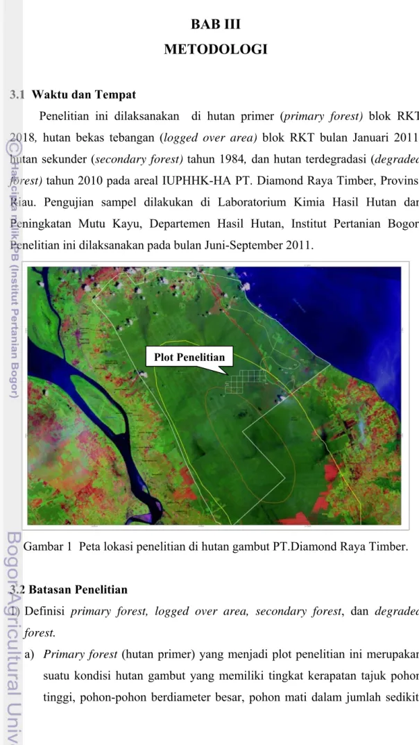 Gambar 1  Peta lokasi penelitian di hutan gambut PT.Diamond Raya Timber. 