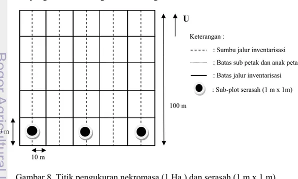 Gambar 8  Titik pengukuran nekromasa (1 Ha ) dan serasah (1 m x 1 m). 