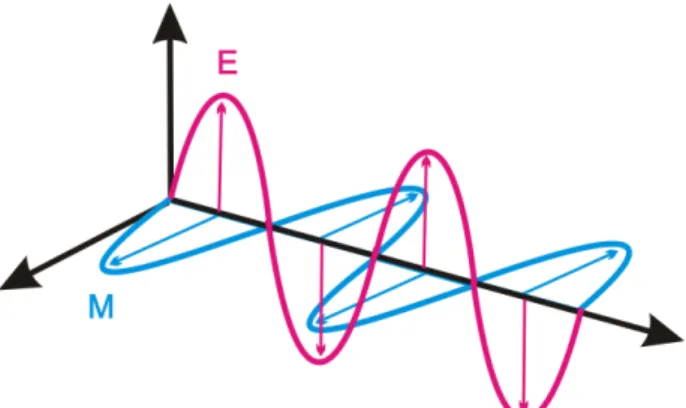 Gambar 2.4 Polarisasi Antena  2.4.5   Beamwidth Antena 