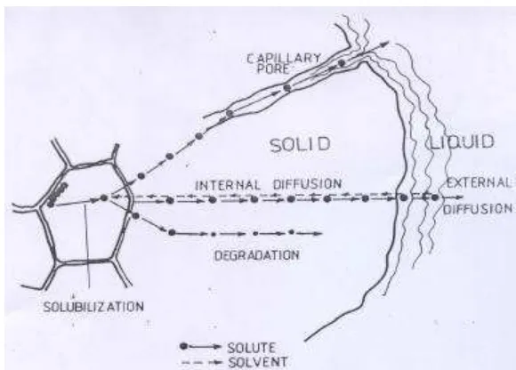 Gambar 5. Mekanisme perpindahan massa (Aguilera, 1999) 