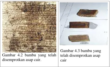 Gambar  4.2  bambu  yang  telah disemprotkan asap cair.