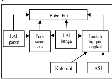 Gambar 3. Diagram lintas jagung 