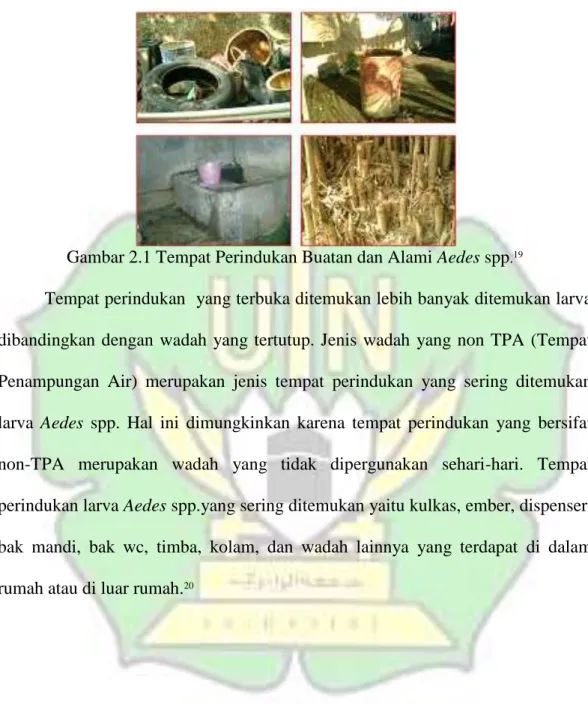 Gambar 2.1 Tempat Perindukan Buatan dan Alami Aedes spp . 19