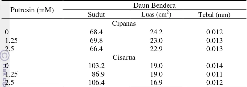 Tabel 5 Sudut, tebal dan luas daun bendera pada gandum di Cipanas dan Cisarua dengan dua macam konsentrasi putresin 