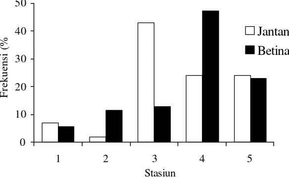 Gambar 2. Distribusi frekuensi ikan beunteur (Puntius binotatus) jantan dan betina setiap stasiun