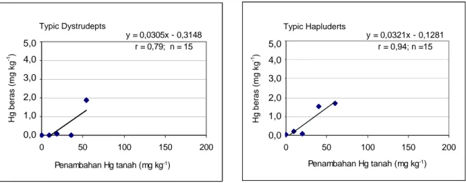 Gambar 1.  Hubungan antara Hg dalam larutan tanah dan dalam beras  Figure 1.  Relationship between Hg in soil solution and in hulled-rice 