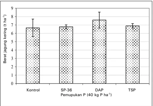 Gambar 4.  Pengaruh pemupukan P terhadap hasil jagung pada tanah  Placic Petraquepts, Cicadas, Bogor 