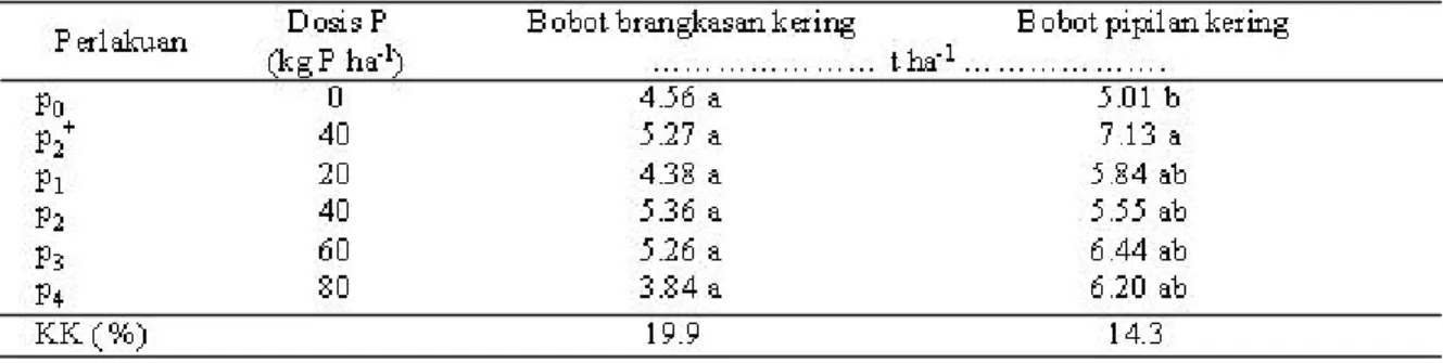 Tabel 7. Pengaruh pupuk P terhadap bobot brangkasan kering dan bobot pipilan jagung kering, di Ultisol Jagang, Lampung Utara, MK 2004