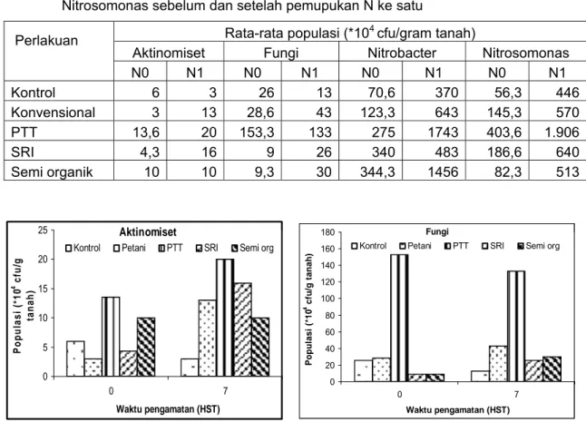 Tabel 3.  Rata-rata  populasi  mikroorganisme Aktinomiset, Fungi, Nitrobacter dan  Nitrosomonas sebelum dan setelah pemupukan N ke satu 