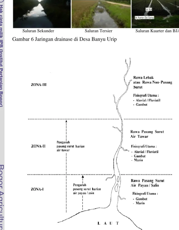 Gambar 7  Pembagian zona lahan rawa di sepanjang daerah aliran sungai  (DAS)  (Widjaja-Adhi et al