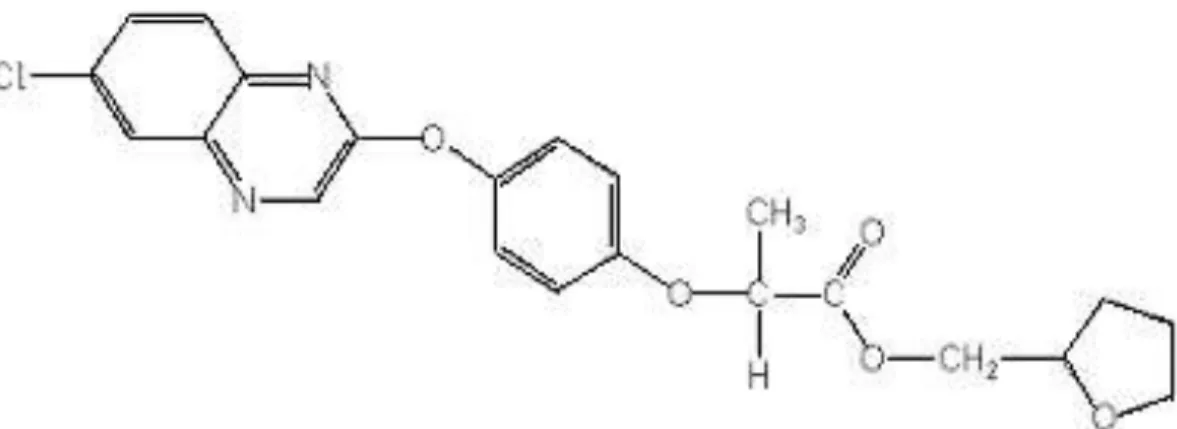 Gambar 1. Struktur molekul quizalofop-p-tefuryl tetrahydrofurfuryl-(R)-2-[4-(6- tetrahydrofurfuryl-(R)-2-[4-(6-chloroquinoxalin-2-yloxy)phenoxy]propionate 