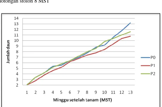 Tabel 1. Rerata jumlah daun, tinggi tanaman, berat basah dan berat kering tanaman strawberry pada  umur budidaya 13 MST 
