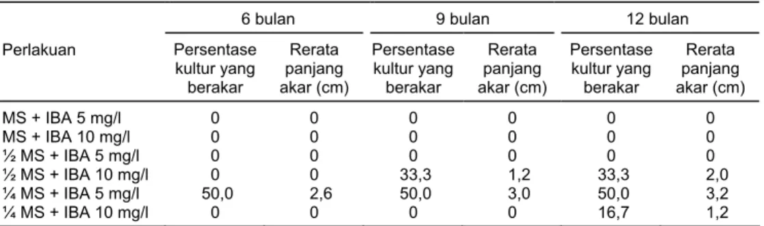 Tabel 4.  Pengaruh beberapa formula MS dan konsentrasi IBA terhadap persentase kultur yang berakar 