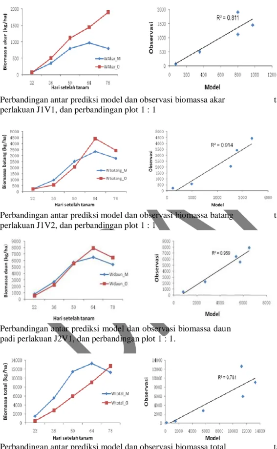 Gambar 4. Perbandingan antar prediksi model dan observasi tanaman padi. 