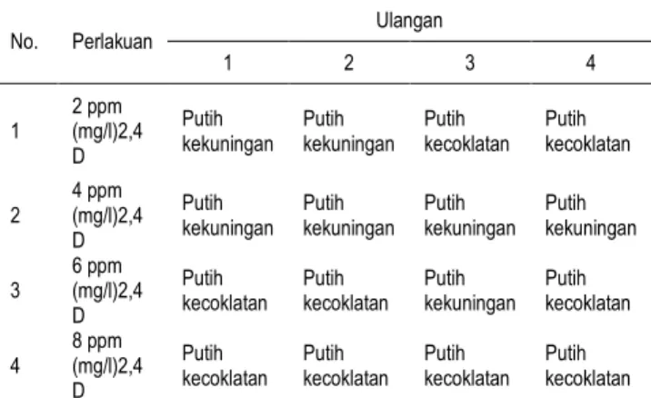 Tabel 2. Warna kalus dengan berbagai konsentrasi 2,4-D  pada media MS 