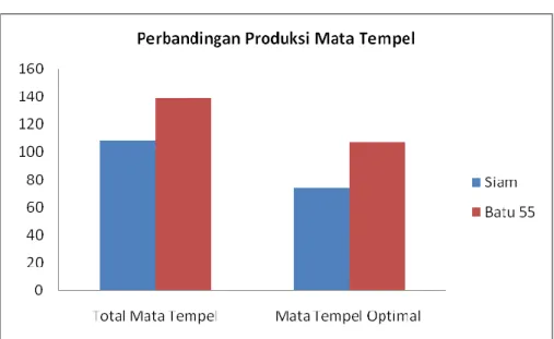 Gambar 2. Grafik Perbandingan Produksi Total Mata Tempel serta Mata Tempel  Optimal Varietas Siam dan Batu 55 