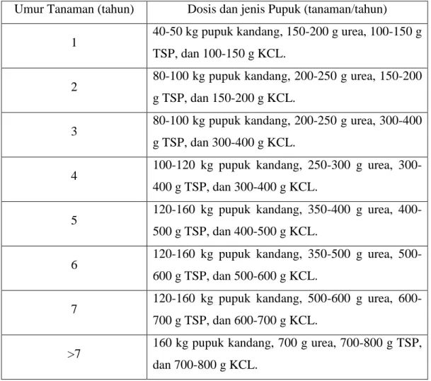 Tabel  5.  Pemberian  Pupuk  Anorganik  (Kimia)  dan  Organik  (Pupuk  Kandang)  Untuk Tanaman Jambu Biji 
