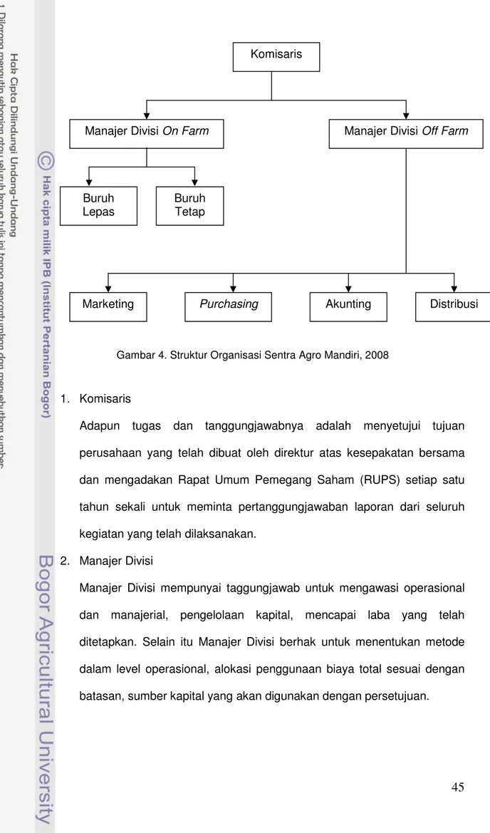 Gambar 4. Struktur Organisasi Sentra Agro Mandiri, 2008 