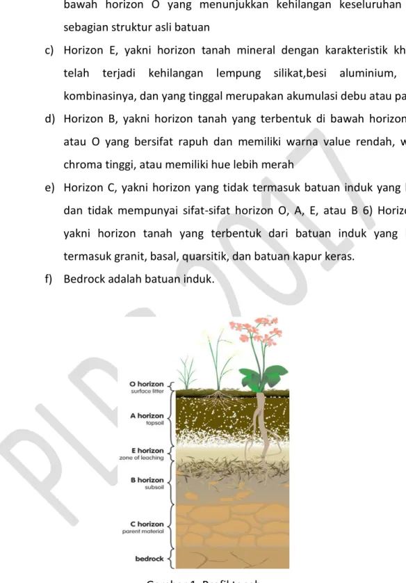 Gambar 1. Profil tanah 