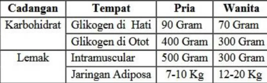 Tabel 2.2 Cadangan tubuh normal dari karbohidrat dan lemak untuk pria (70kg  dan wanita (60kg) 