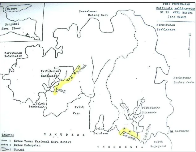 Gambar 2.  Populasi Rafflesia zollingeriana Kds. di Taman Nasional Meru Betiri pada Tahun 2003 (Nurchayati, 2003) 