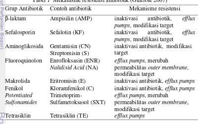 Tabel 1  Mekanisme resistensi antibiotik (Guilfole 2007) 