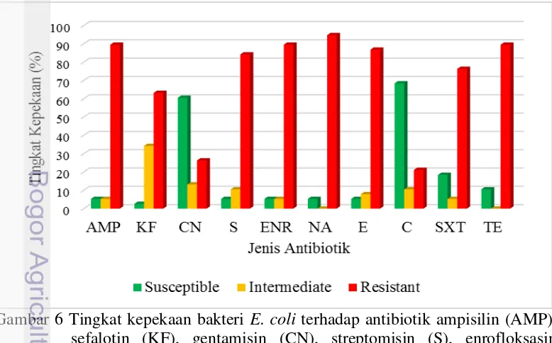 Gambar 6 Tingkat kepekaan bakteri  E. coli terhadap antibiotik ampisilin (AMP), sefalotin (KF), gentamisin (CN), streptomisin (S), enrofloksasin (ENR), nalidixid acid (NA), eritromisin (E), kloramfenikol (C), trimetoprim-sulfametoksasol (SXT), dan tetrasiklin (TE) yang diisolasi dari ayam broiler 