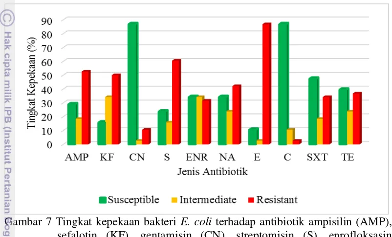 Gambar 7 Tingkat kepekaan bakteri  E. coli terhadap antibiotik ampisilin (AMP), 
