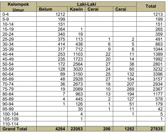 Tabel 2.8.  Kematian  berdasarkan  Status  Kawin  dan  Kelompok  Usia  serta  jenis  kelamin laki-laki di Provinsi DKI Jakarta Tahun 2015 