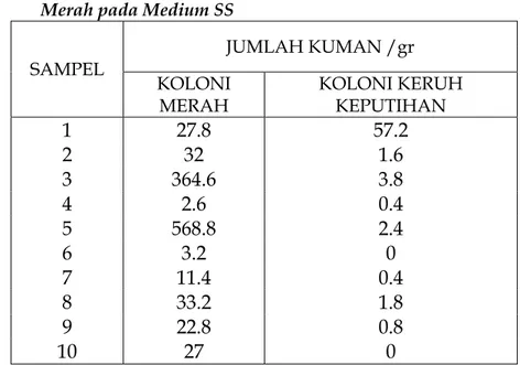 Tabel 5.  Jumlah Kuman / gr dari Koloni Keruh Keputihan dan Koloni  Merah pada Medium SS 