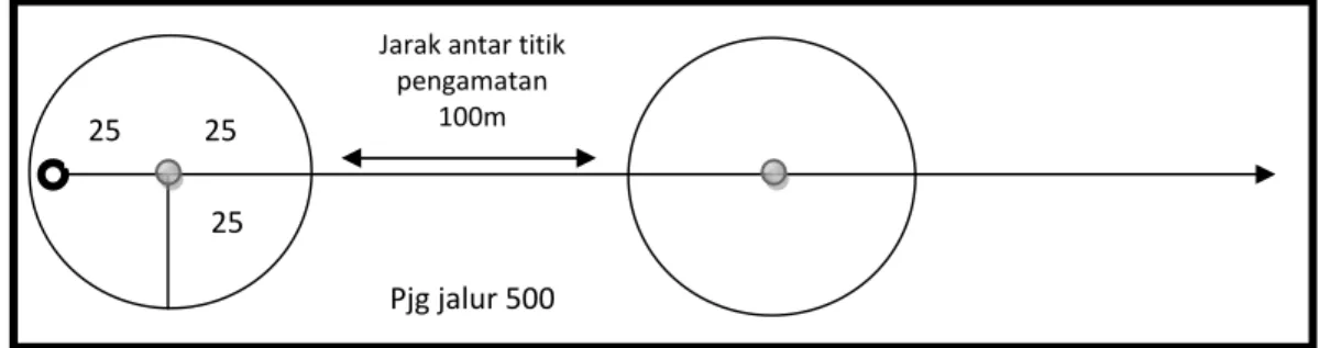 Gambar 1. Contoh peletakan jalur pengamatan (jalur 1, 2 dan 3) (Examples of observation the laying of track ( track 1, 2 dan 3)