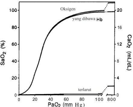 Gambar 2. Hubungan antara tekanan oksigen arteri (PaO 2 ) dengan saturasi oksigen he- he-moglobin (SaO 2 ) dan isi oksigen arteri (CaO 2 )