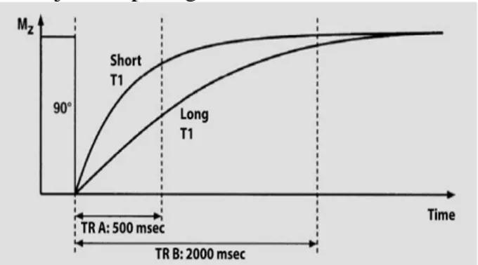 Grafik  hubungan  antara  TR  dan  T1  seperti  ditunjukkan pada gambar 2.6. 
