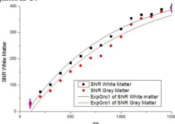 Gambar 3. Grafik nilai SNR pada white matter  dan gray matter pada TE 16 