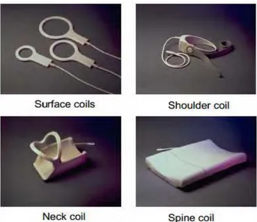 Gambar 2.3 Surface coils (J Blink evert, 2014) 