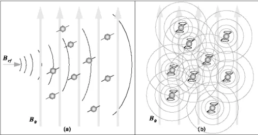 Gambar 2.6 pemberian Radiofrekuensi pada atom Hidrogen (Bushberg, 2002) 