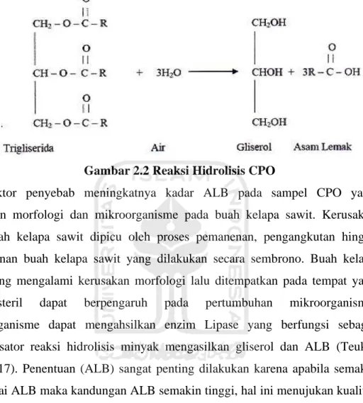 Gambar 2.2 Reaksi Hidrolisis CPO 
