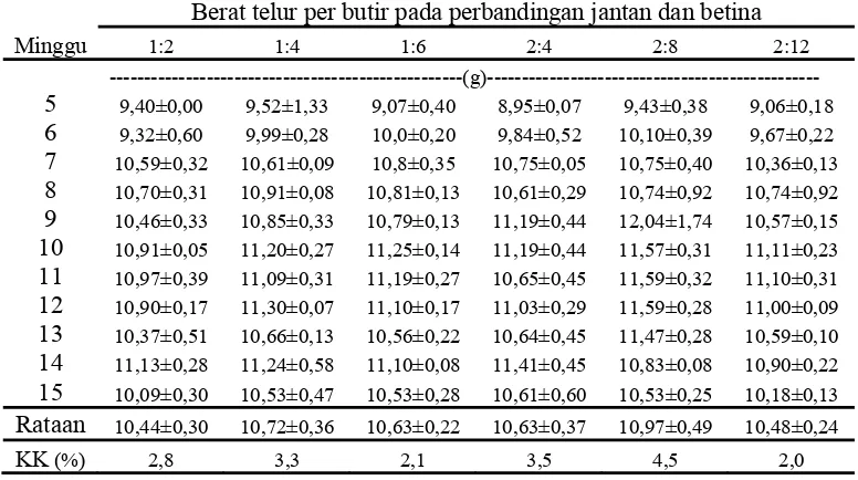 Tabel 2.  Nilai Rataan, Simpangan Baku dan Koefisien Keragaman (KK)                 Berat Telur per Butir