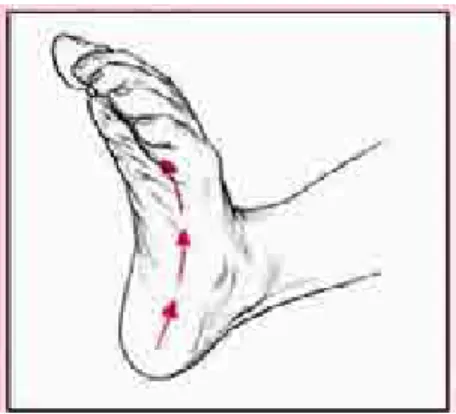 Gambar 6. Foot grasping reflex  7.  Coeneomandibular Reflek 