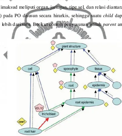 Gambar 2.7 Conto h penyusunan  istilah parent and child dari PO  