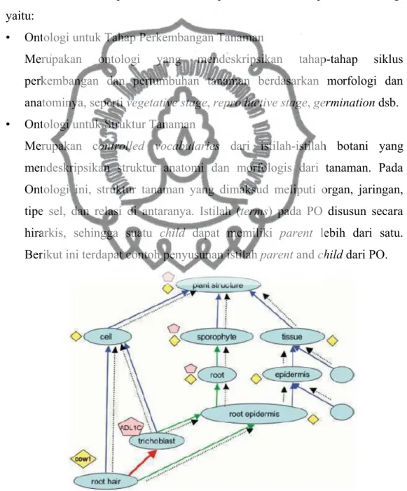 Gambar 2.1 Contoh penyusunan istilah parent and child dari Plant  Ontology (Jaiswal P