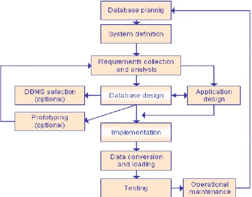 Gambar 2.2 Database Life Cycle  (Sumber: Connoly,2005, p.284) 