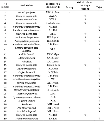 Tabel 1 Tumbuhan forofit H. diversifolia 